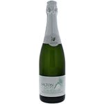 espumante-moscatel-salton-750ml-s