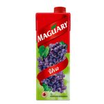 nectar-uva-maguary-tp-1l-s