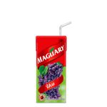 nectar-uva-maguary-200ml-s