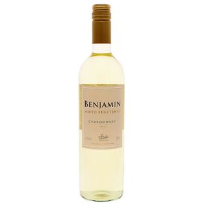 Vinho Branco Argentino Benjamin Nieto Sanetiner Chardonnay 750ml