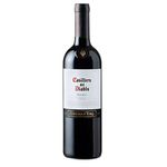 vinho-chileno-malbec-casillero-del-diablo-750ml-s