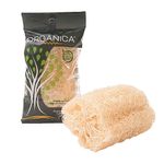 esponja-vegetal-pedaco-organica-s