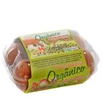 ovo-caipira-vermelho-organico-6-unidades-label-rouge-s