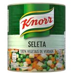 seleta-de-legumes-knorr-290g-s