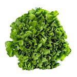 escarola-mil-green-150g-s