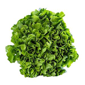 Escarola Mil Green 150g