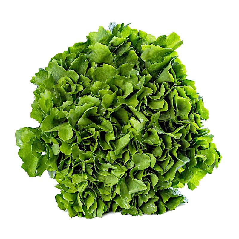 escarola-mil-green-150g-s