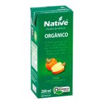 suco-organico-sabor-caju-native-200ml-s