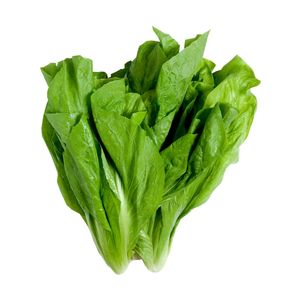 Almeirão Verde Fácil 250g