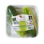 pepino-caipira-solo-vivo-400g-s