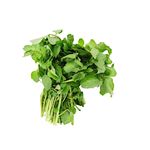 agriao-organico-solo-vivo-s