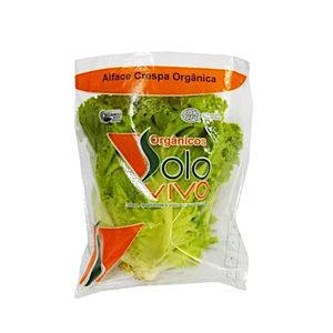 Alface Crespa Orgânica Solo Vivo