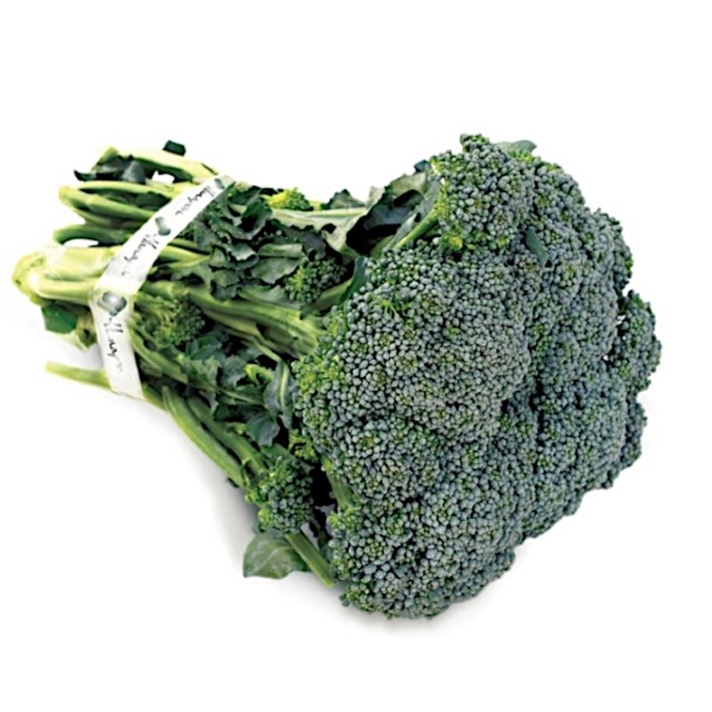 brocolis-comum-camilo-verduras-s