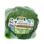 brocolis-japones-organico-solo-vivo-s