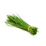 cebolinha-organico-solo-vivo-s