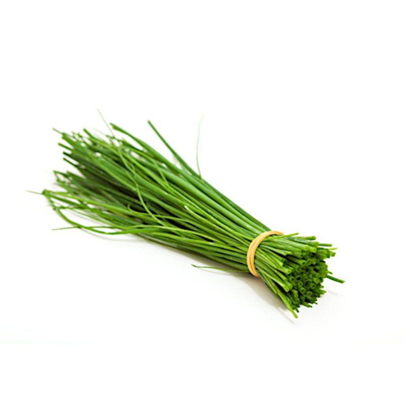 cebolinha-organico-solo-vivo-s
