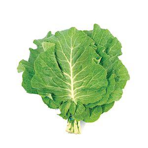 Couve Manteiga Benassi 250g
