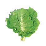 couve-manteiga-verde-facil-200g-s
