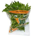 espinafre-organico-solo-vivo-1-unidade-s
