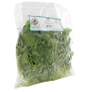Saladão Verde Fácil 1 Unidade