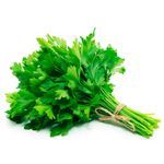 salsinha-verde-facil-1-unidade-s