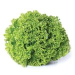 alface-crespa-01-unidade-benassi-200g-s