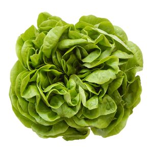 Alface Lisa Mil Green 150g