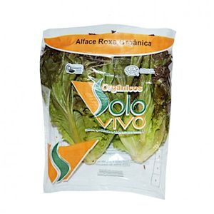 Alface Roxa Orgânica Solo Vivo 1 Unidade