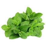 hortela-01-unidade-horta-em-casa-30g-s