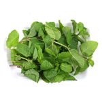 hortela-horta-em-casa-1-unidade-s
