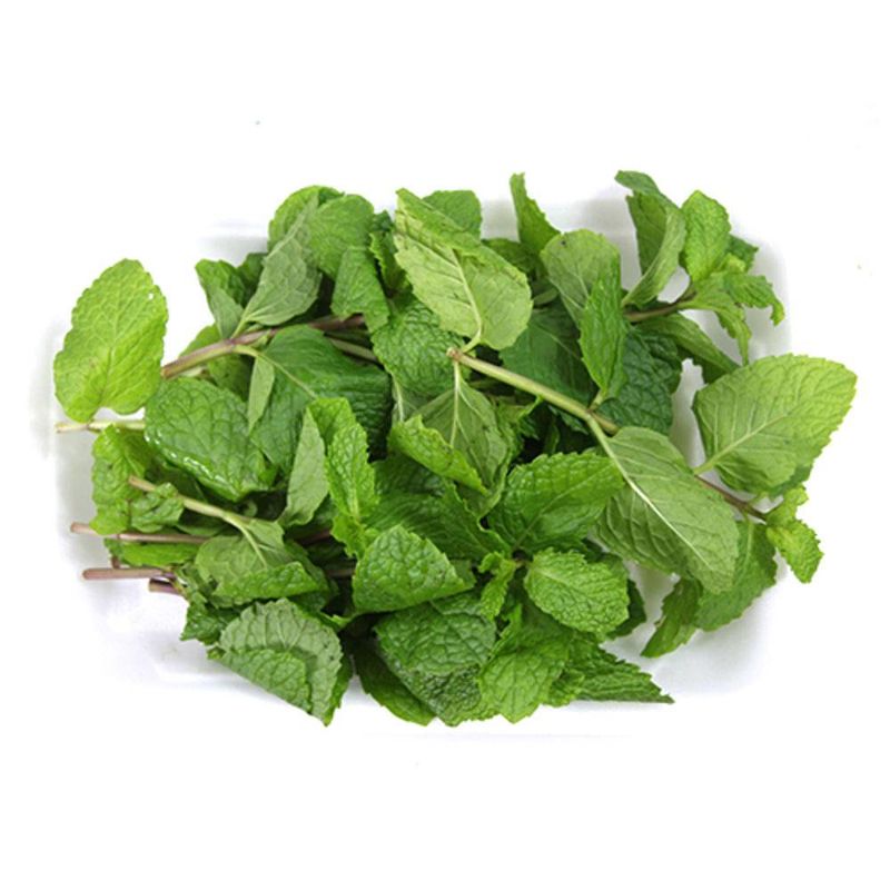 hortela-horta-em-casa-1-unidade-s