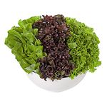 trio-alface-crespa--roxa-e-rucula-bandeja-benassi-s