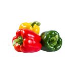 pimentao-colorido-bandeja-organico-solo-vivo-400g-s