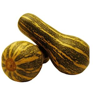 Abóbora Seca Benassi Pedaço Aprox 1kg