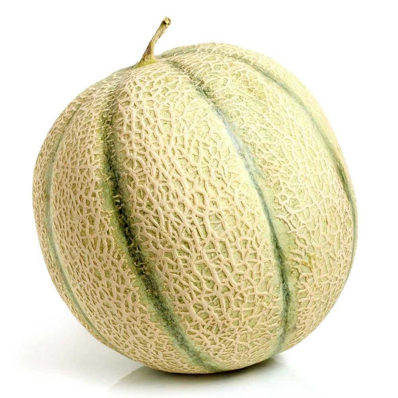 melao-charantais-benassi-500g-s