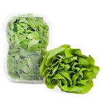 alface-lisa-bandeja-mil-green-250g-s
