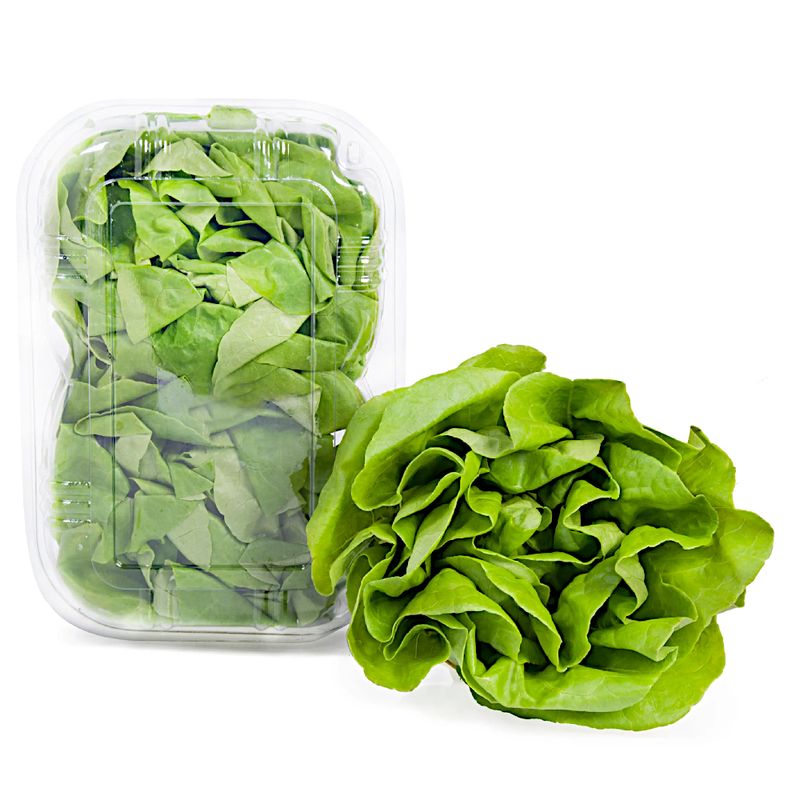 alface-lisa-bandeja-mil-green-250g-s