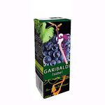 Suco-sabor-uva-integral-Garibaldi-200ml-s