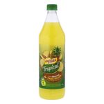 Suco-Concentrado-Abacaxi-DaFruta-950ml-s
