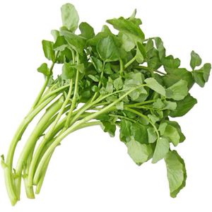 Agrião Nutriens Orgânico Maço 300g