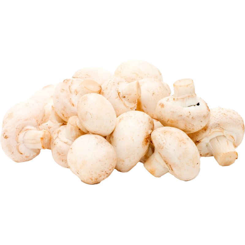 Cogumelo em Conserva Benassi Inteiro 100g Supermercado Coop