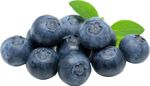 Blueberry-Benassi-Importada-Bandeja-125g