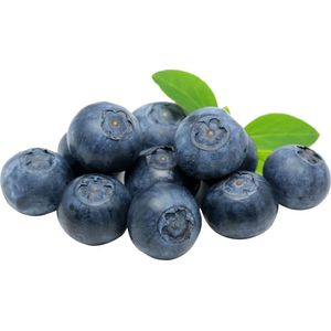 Blueberry Benassi Importada Bandeja 125g