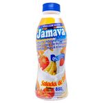 Bebida-Fermentada-Jamava-Salada-de-Frutas-800g