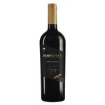 Vinho-Chileno-Paso-de-Los-Andes-Carmenere-750ml