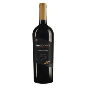 Vinho Paso de Los Andes Cabernet Sauvignon 750 ml