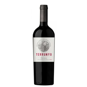 Vinho Tinto Concha Y Toro Terrunyo Carmenere 750ml