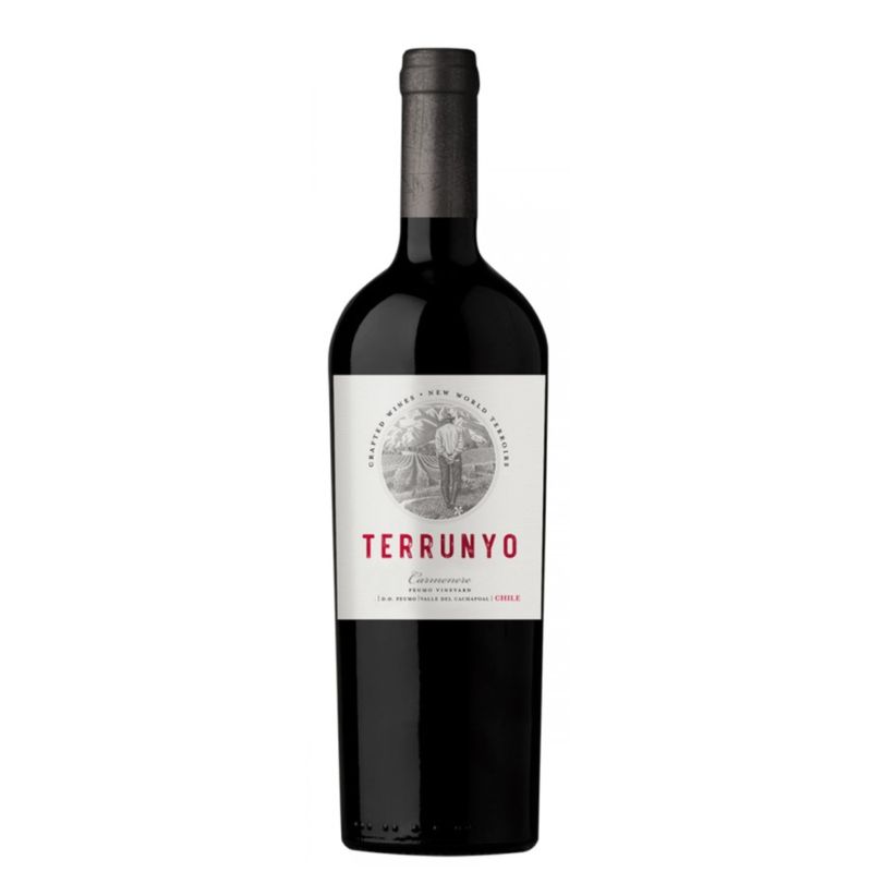 Vinho-Tinto-Concha-Y-Toro-Terrunyo-Carmenere-750ml