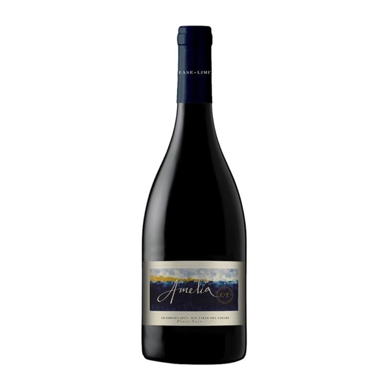 Vinho-Tinto-Concha-Y-Toro-Amelia-Pinot-Noir-750ml