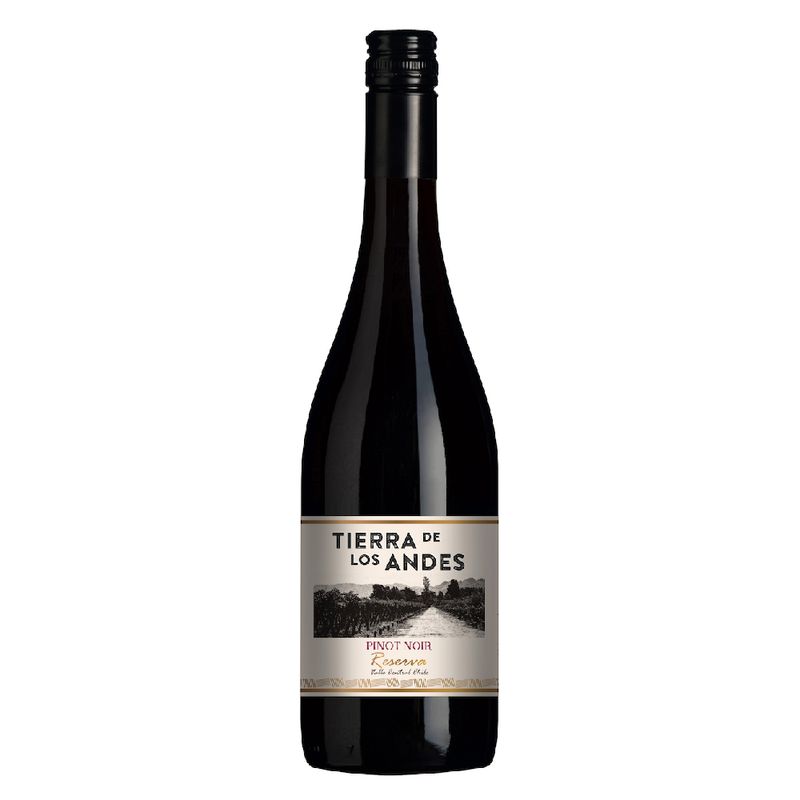 Vinho-Branco-Pinot-Noir-Reserva-Tierra-Los-Andes-750ml-